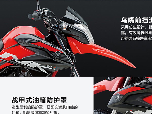 ���Ų��·ԽҰ������