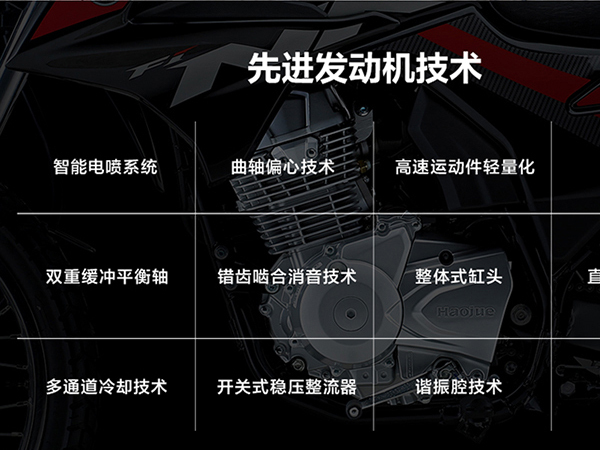 ���Ų��·ԽҰ������