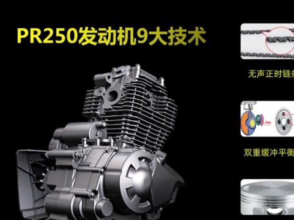 ����������ѡ���ı�׼����Щ��