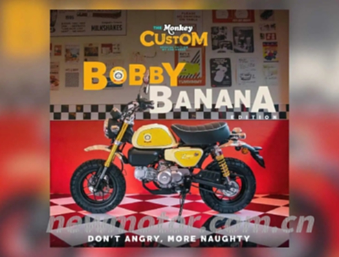 MONKEY 125Monkey Bobby Bananaر(6)