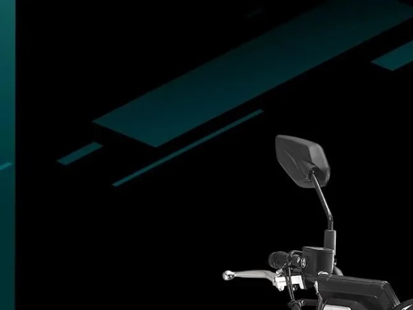 COBRA 321R�������棩����������