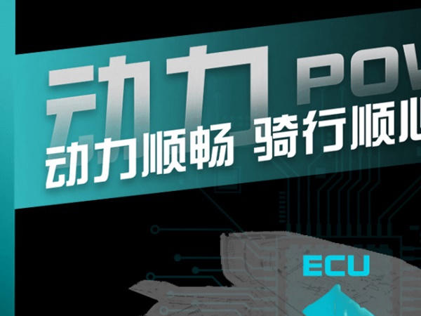 COBRA 321R�������棩����������