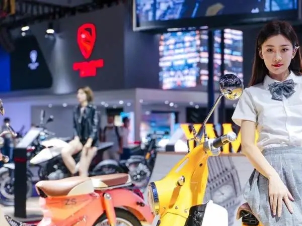 �����¾��磬����Լ�ɭ�� B1 ����