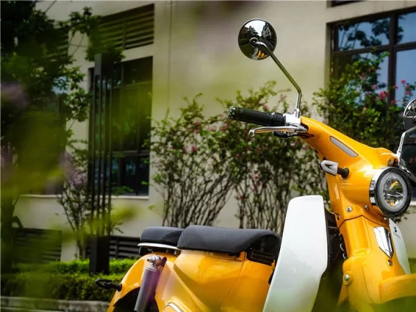 �����¾��磬����Լ�ɭ�� B1 ����