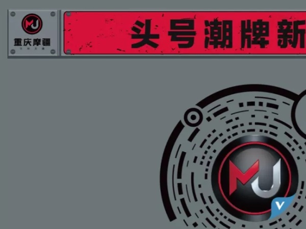 ���ʵ��ֱ�Ѳٿ����� MJ917�˶�����������