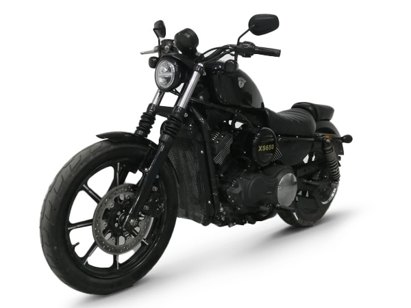 ˧ػ XS650