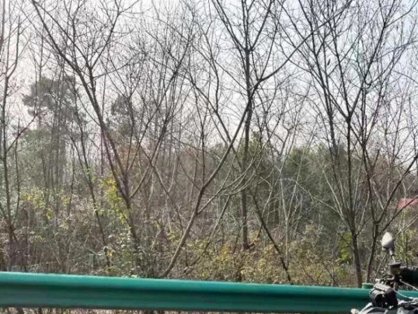 �޼�525R�����ٹ�·�ϵ�����С����