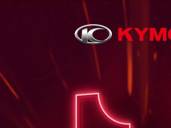 ��Ƶ����������Ԫ�ֽ�����ã�