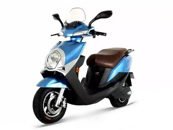 ɭ�� СҰ�� СҰ�� T3 2019�� �˶���