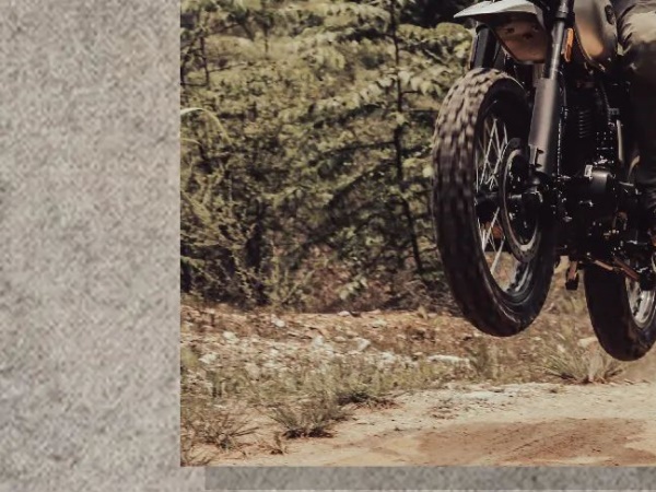 ���������С�Ÿ��ţ�����Ԥ��