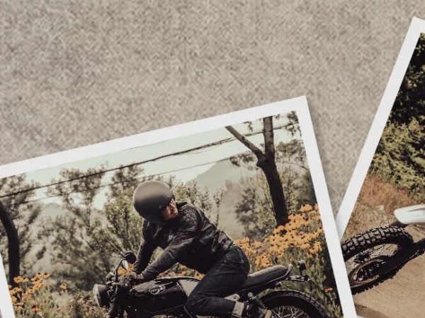 ���������С�Ÿ��ţ�����Ԥ��