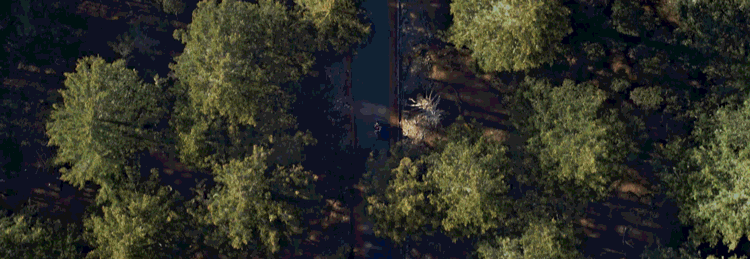 ��2022��CB400X/CB400F �������ʴ�����Ʒ��ȯ