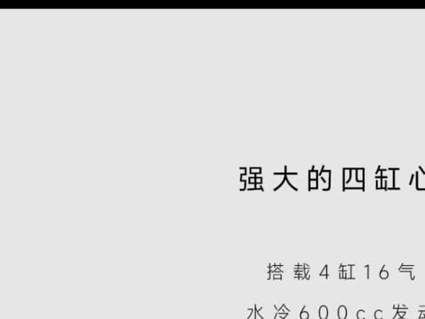 ��׷�����ҵ�β�� QJMOTOR 2022��׷600