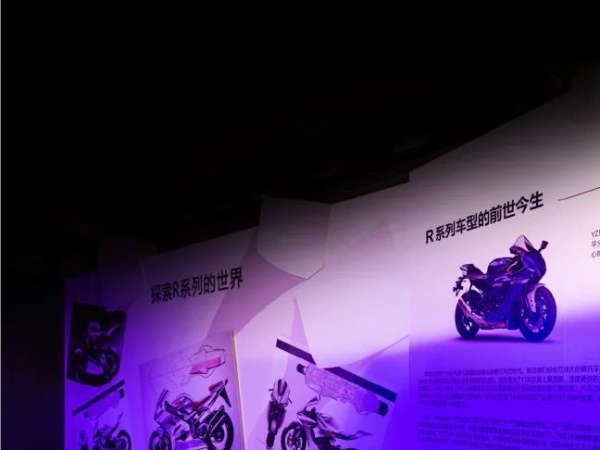 R1 R1M��д������