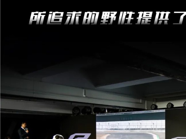 R1 R1M��д������