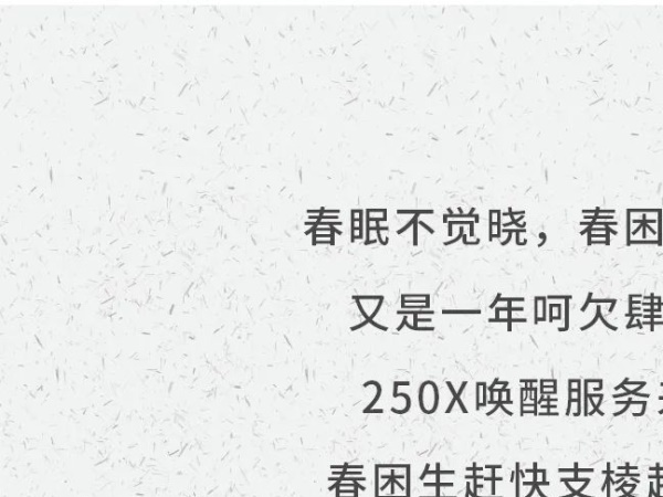 ����ʱ�ڣ���250X���㻨ʽ����