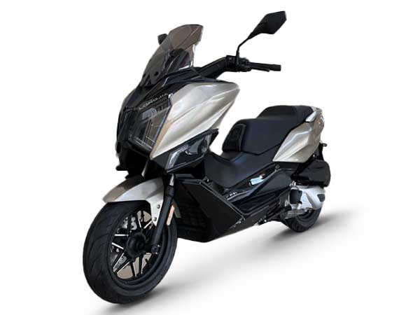 ����  LJ300T-19 2023�� 