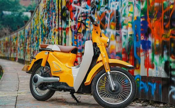 5688Ԫ��ɭ��B1/����2023������