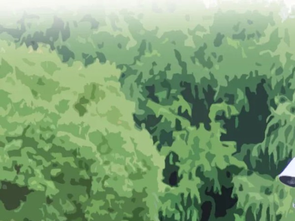 ��Ӱ255S��ҿ�����ȡ����ר������