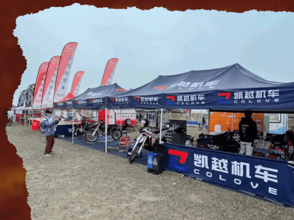 MX250���ھ�֮�ƣ��Ʋ��ɵ�