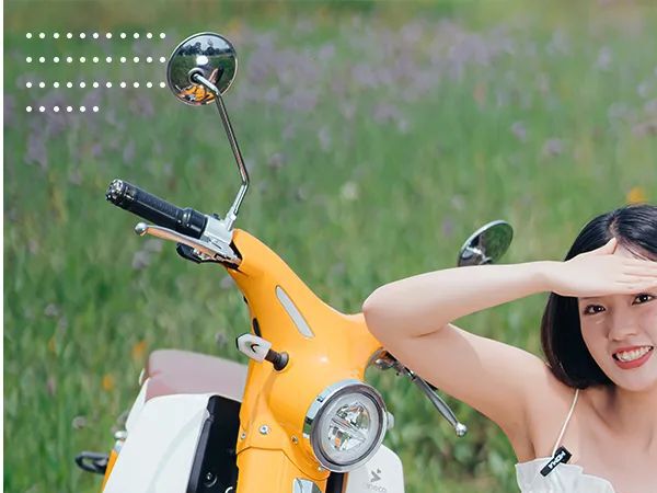 ���ο���PICK���Ͷ���~