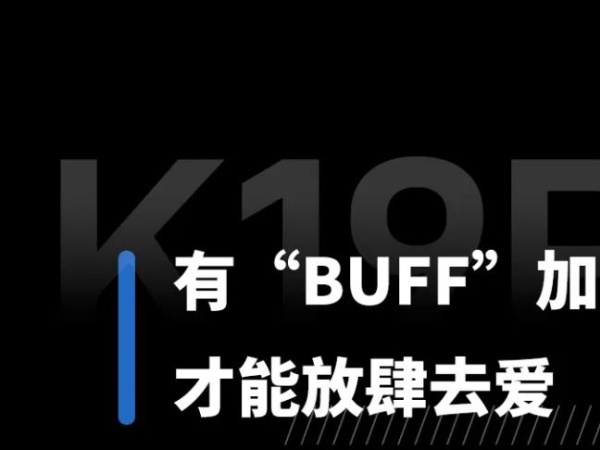 K19PROح���ճ��У��ǵ���Ҫ�Ҹ����ô��ӡ�