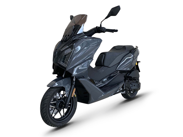 ����  LJ150T-19 2023�� 