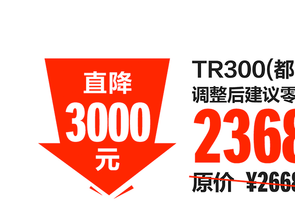 ��ľ250/����300ϵ����Ҫ�۸���Ϣ����