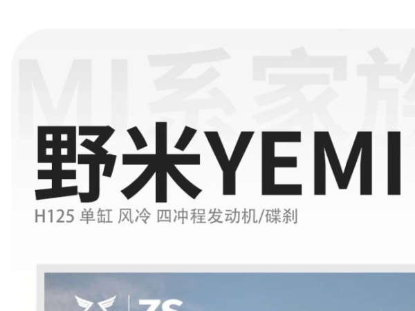 ���װ�������������������