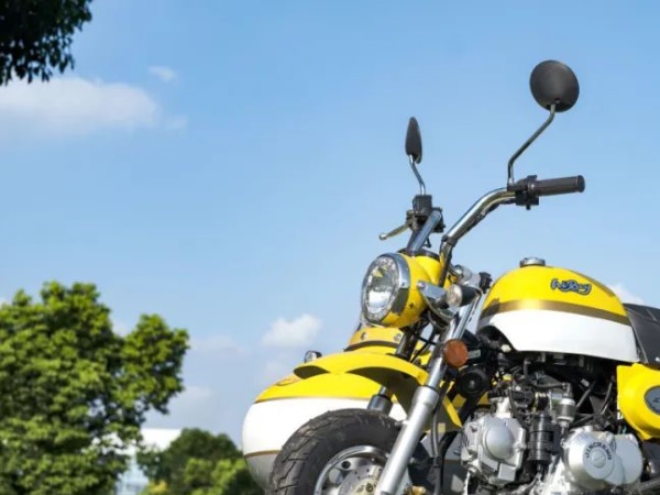 ��ͯ��������ʽ������������