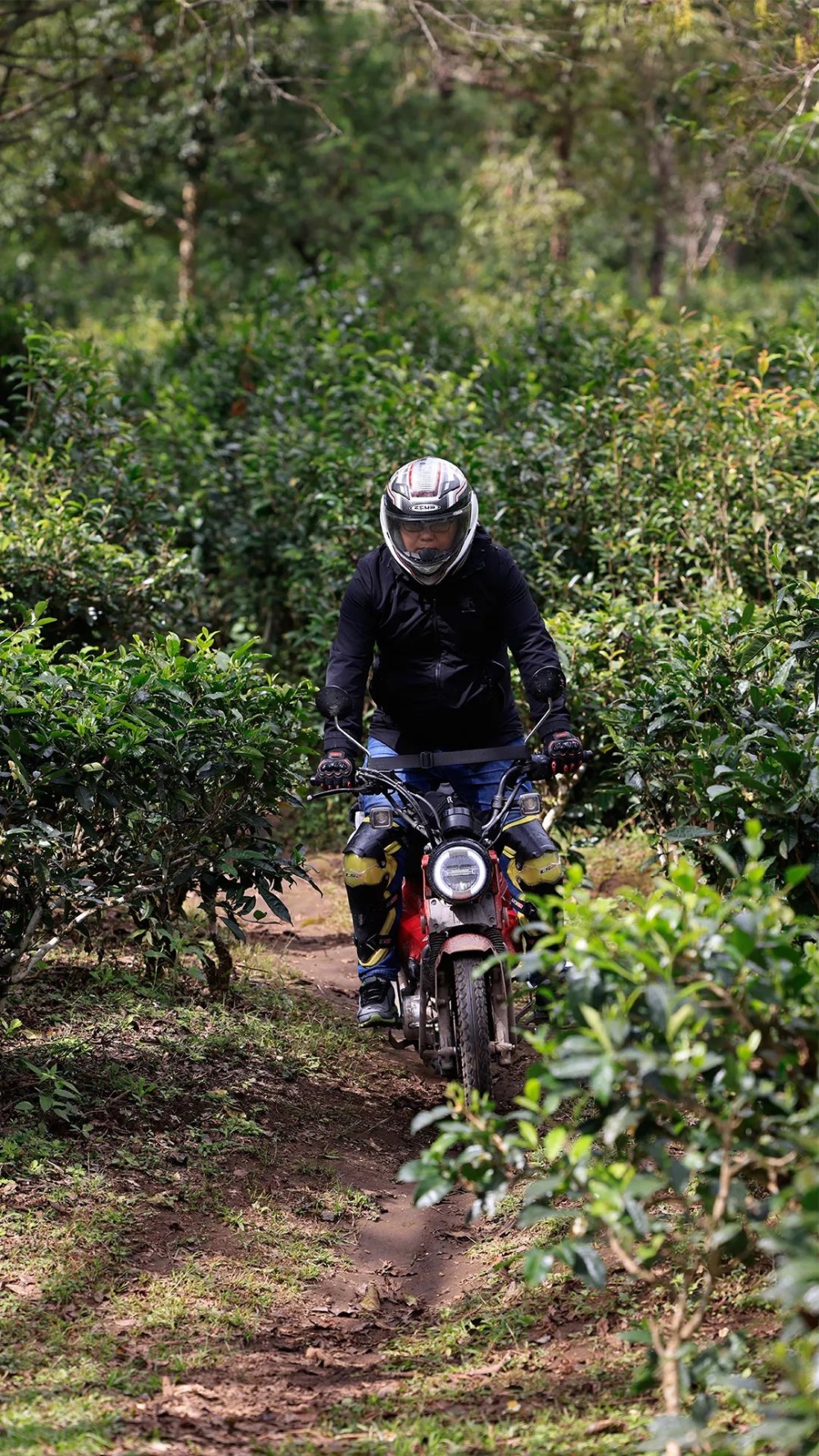 �εΣ�2023�����Ѹ漱��