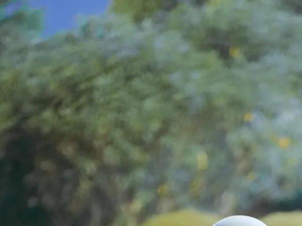 �εΣ�2023�����Ѹ漱��