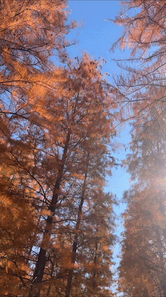 ��ɼ���µ�Ħ��֮�ã�̽��δ֪���ó�