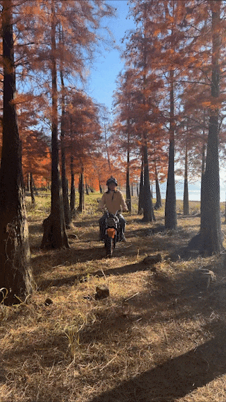 ��ɼ���µ�Ħ��֮�ã�̽��δ֪���ó�