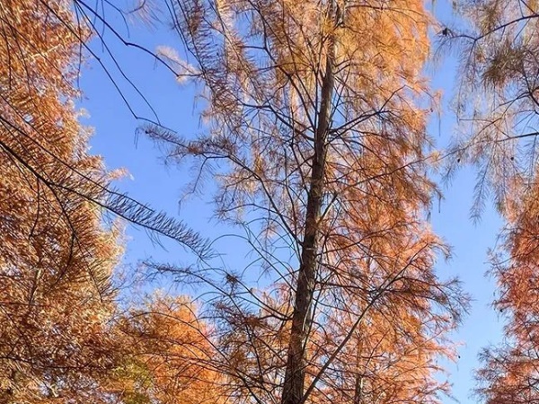 ��ɼ���µ�Ħ��֮�ã�̽��δ֪���ó�