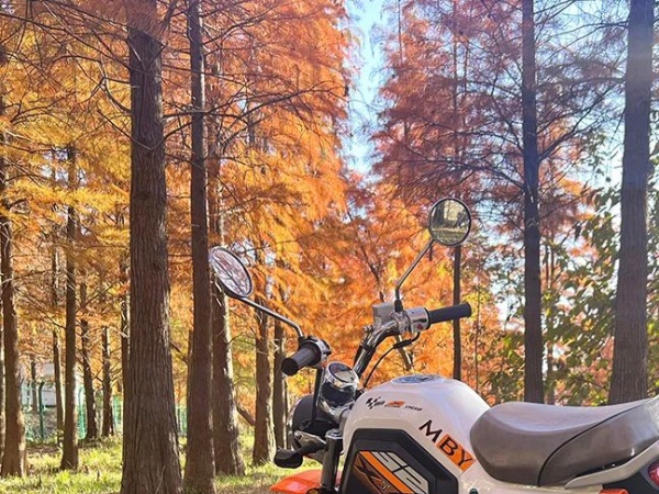 ��ɼ���µ�Ħ��֮�ã�̽��δ֪���ó�