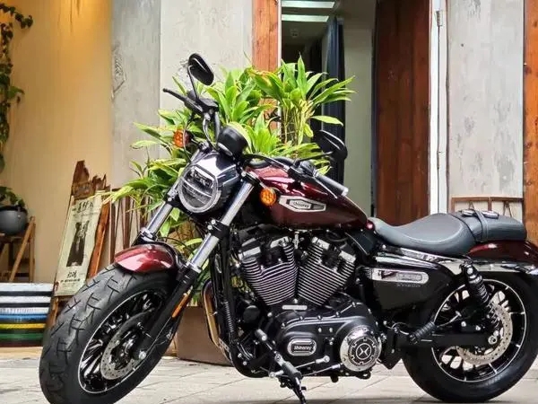 2024�����������ܣ���һ���³��걨