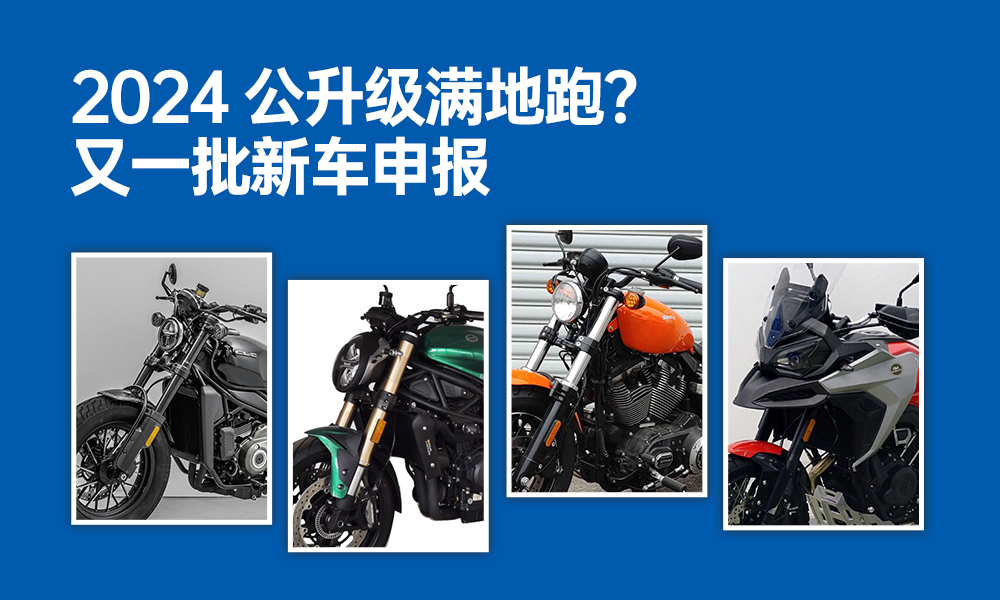 2024�����������ܣ���һ���³��걨