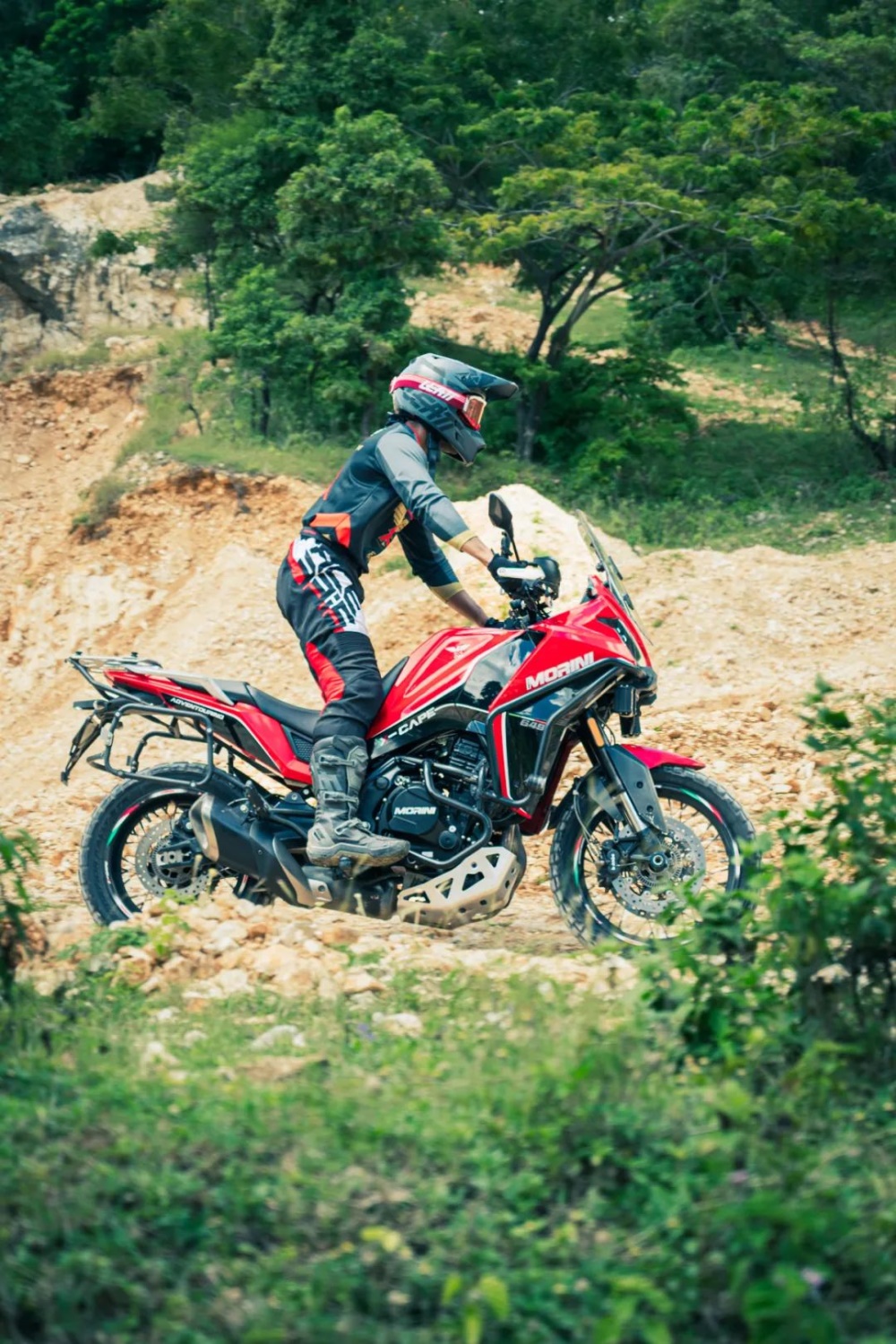 ɽ��֮�䣬���ܡ�Ұ��������������