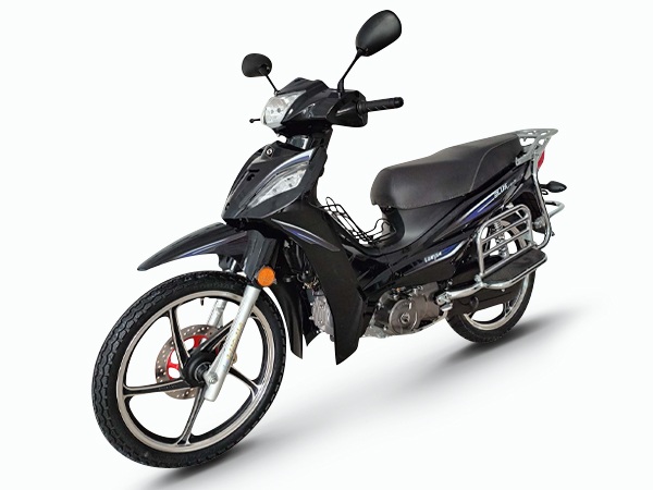 ���  LJ125-36 2024�� 