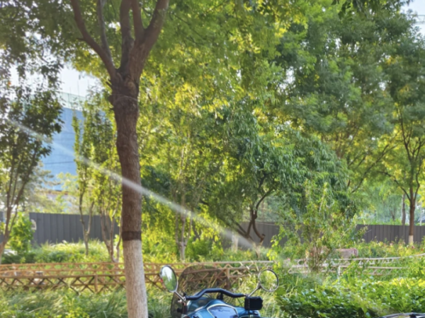 ̤��Ҳ��� | ����VRF150��ɫ ��ֵ��Ļ����