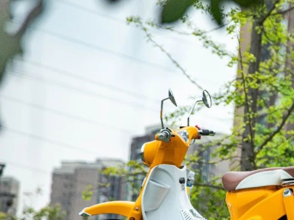 7280Ԫ | ���꾫�´���YAMI plus�к�ʵ����