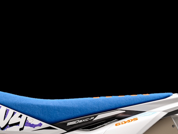 ӭ���µ���ս��2024 KTM 350 EXC-F SIX DAYS