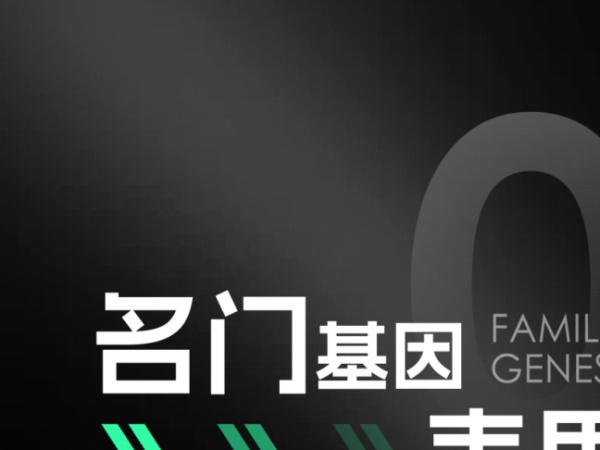 31766Ԫ��SR4Max PLAY���ƾֶ���