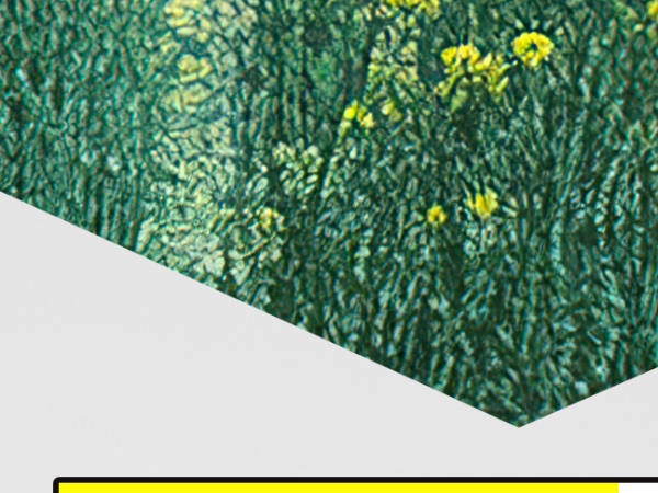 �����󽱣����ڴ�������