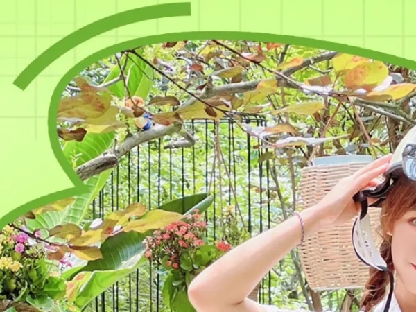 �����һ��̽���������ɫ�˳�