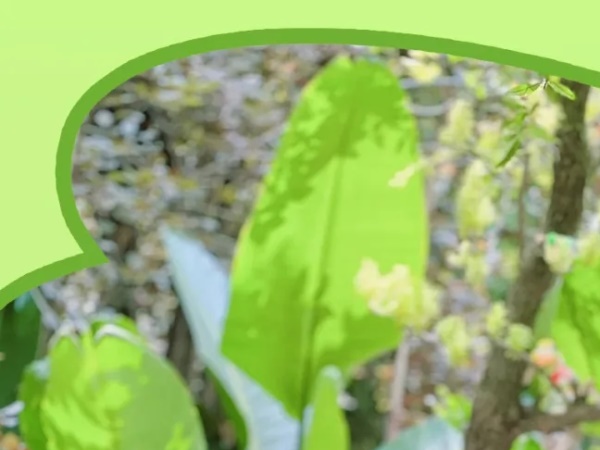 �����һ��̽���������ɫ�˳�