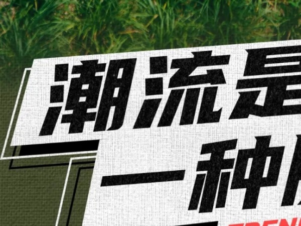 ����LAKO110 ���ͳ�����