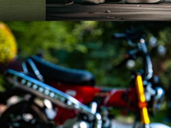 ����LAKO110 ���ͳ�����