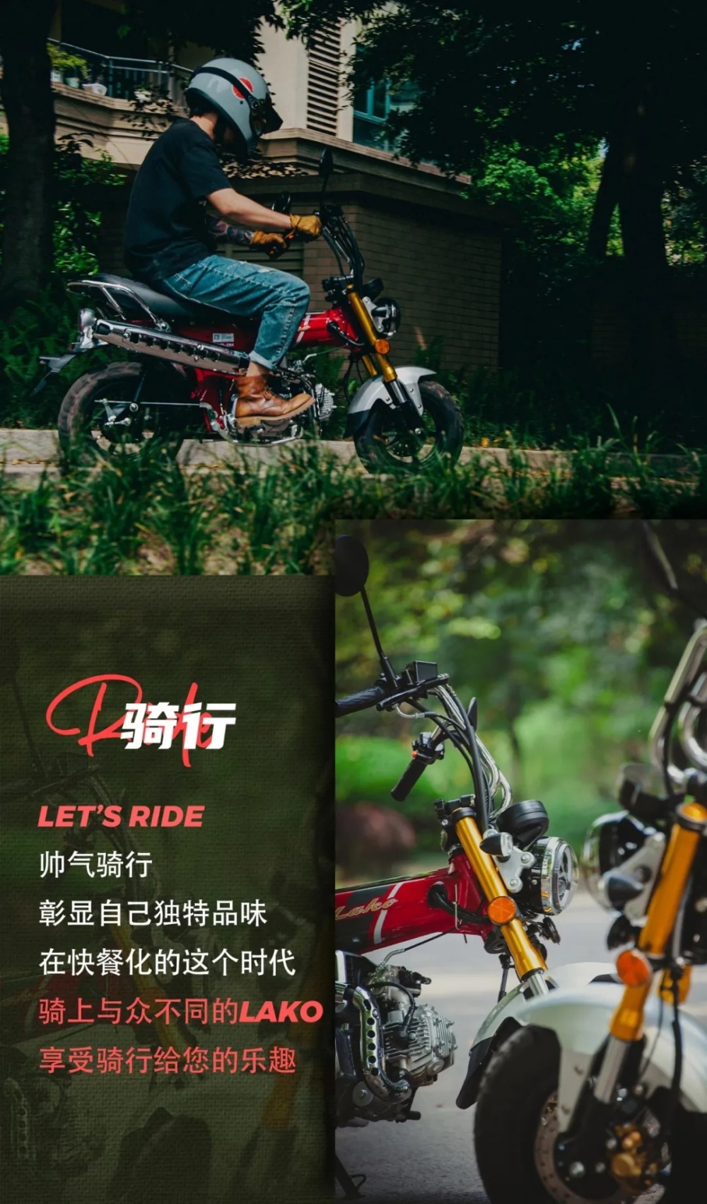 ����LAKO110 ���ͳ�����